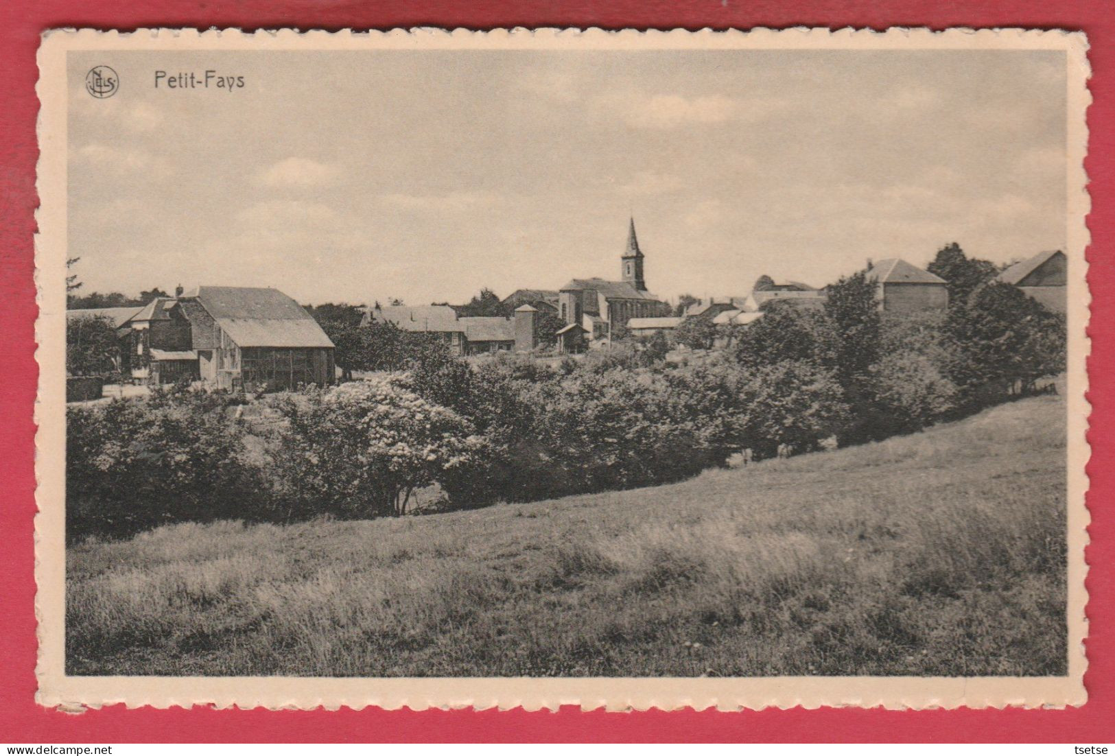 Petit-Fays ... Panorama Du Village  ( Voir Verso ) - Bièvre