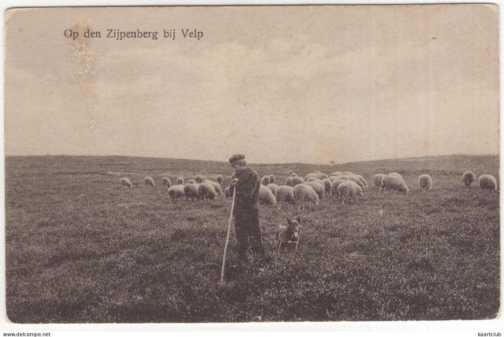 Op Den Zijpenberg Bij Velp - (Gelderland, Nederland/Holland) - Schaapskudde, Herdersjongen, Hond - Velp / Rozendaal