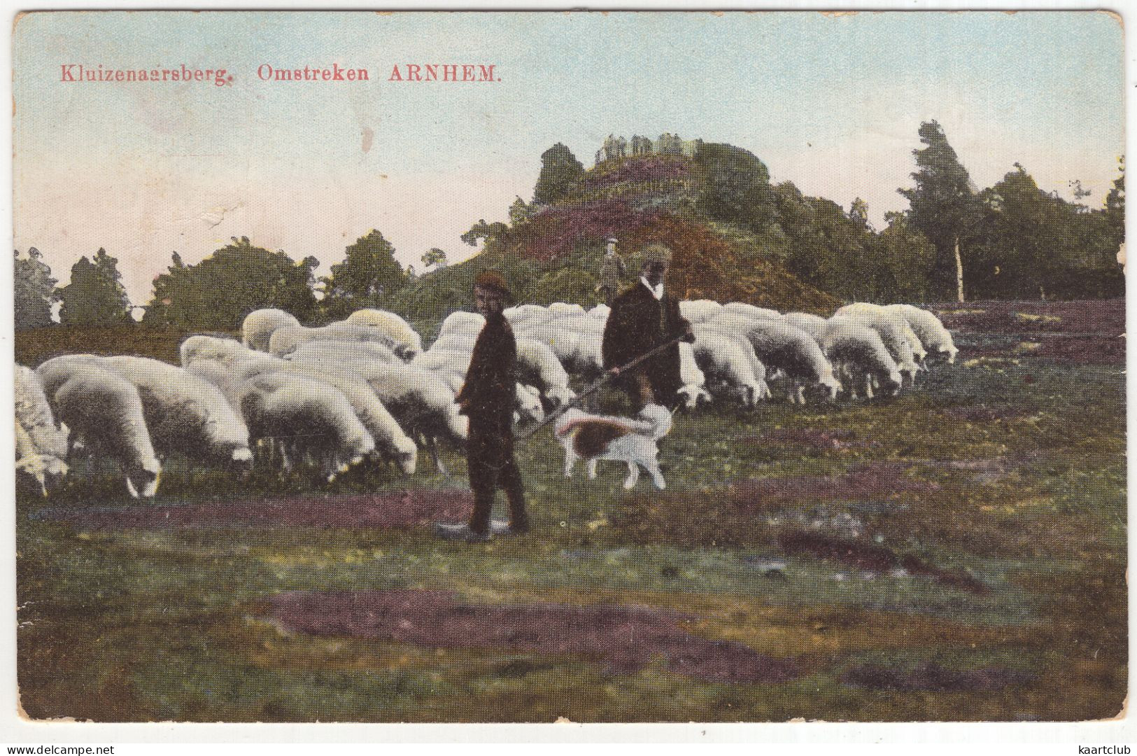 Kluizenaarsberg, Omstreken Arnhem  - (Gelderland, Nederland/Holland) - 1928 - Schaapskudde, Herders, Hond - Velp / Rozendaal