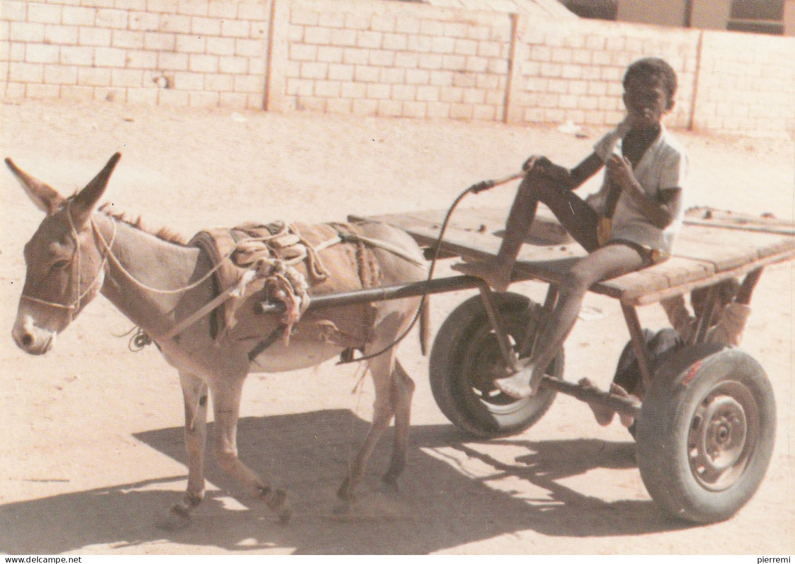 Mauritanie   Un Charretier - Mauritania