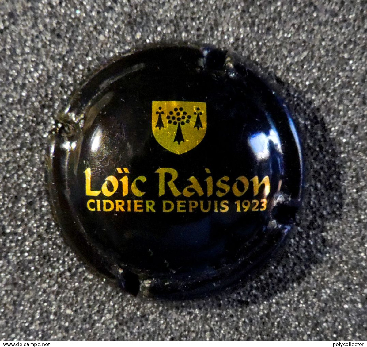 Capsule CIDRE - Loïc RAISON - Autres & Non Classés