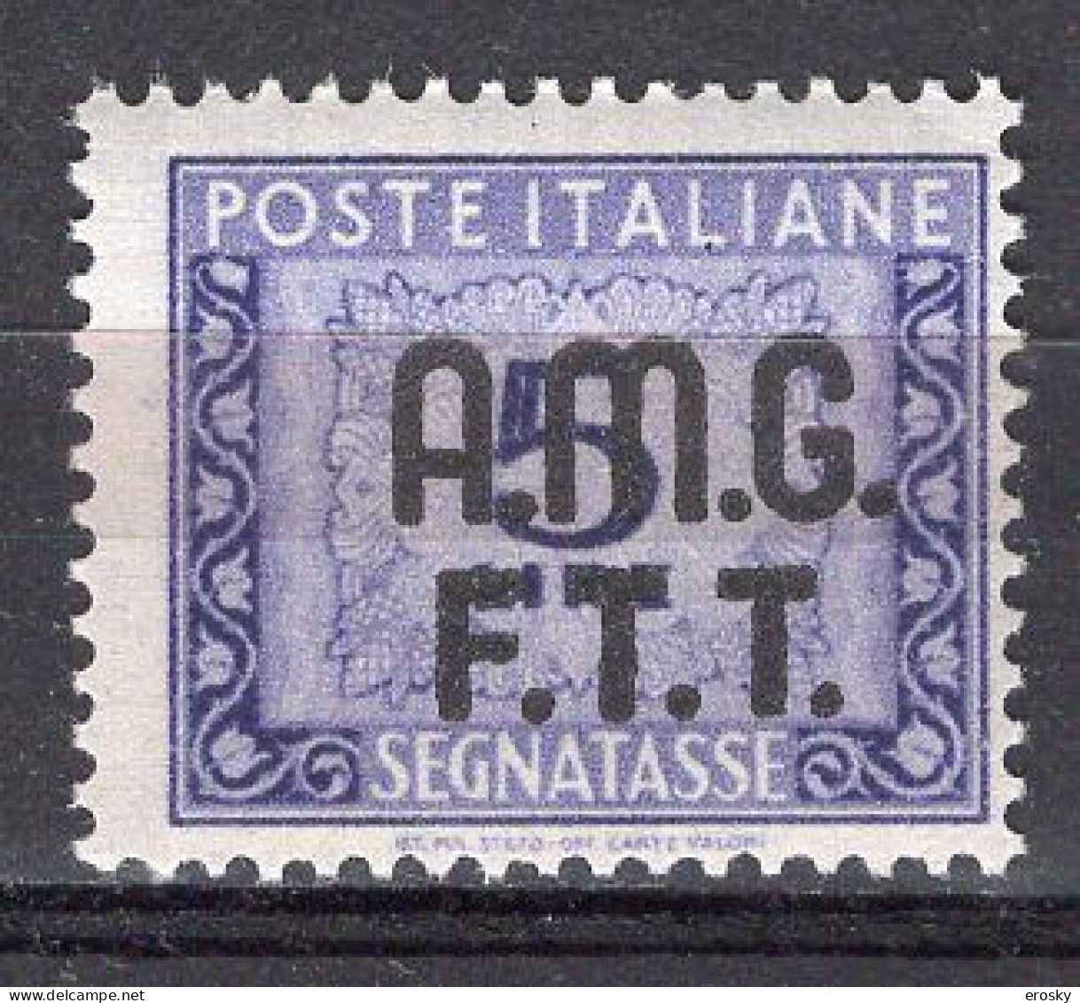 Z6927 - TRIESTE AMG-FTT TASSE SASSONE N°9 ** - Segnatasse