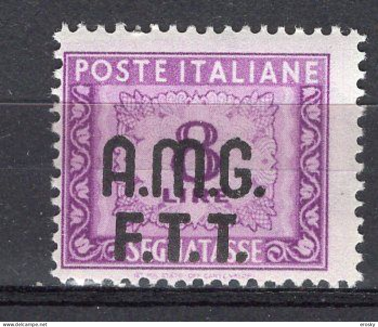 Z6929 - TRIESTE AMG-FTT TASSE SASSONE N°11 ** - Postage Due