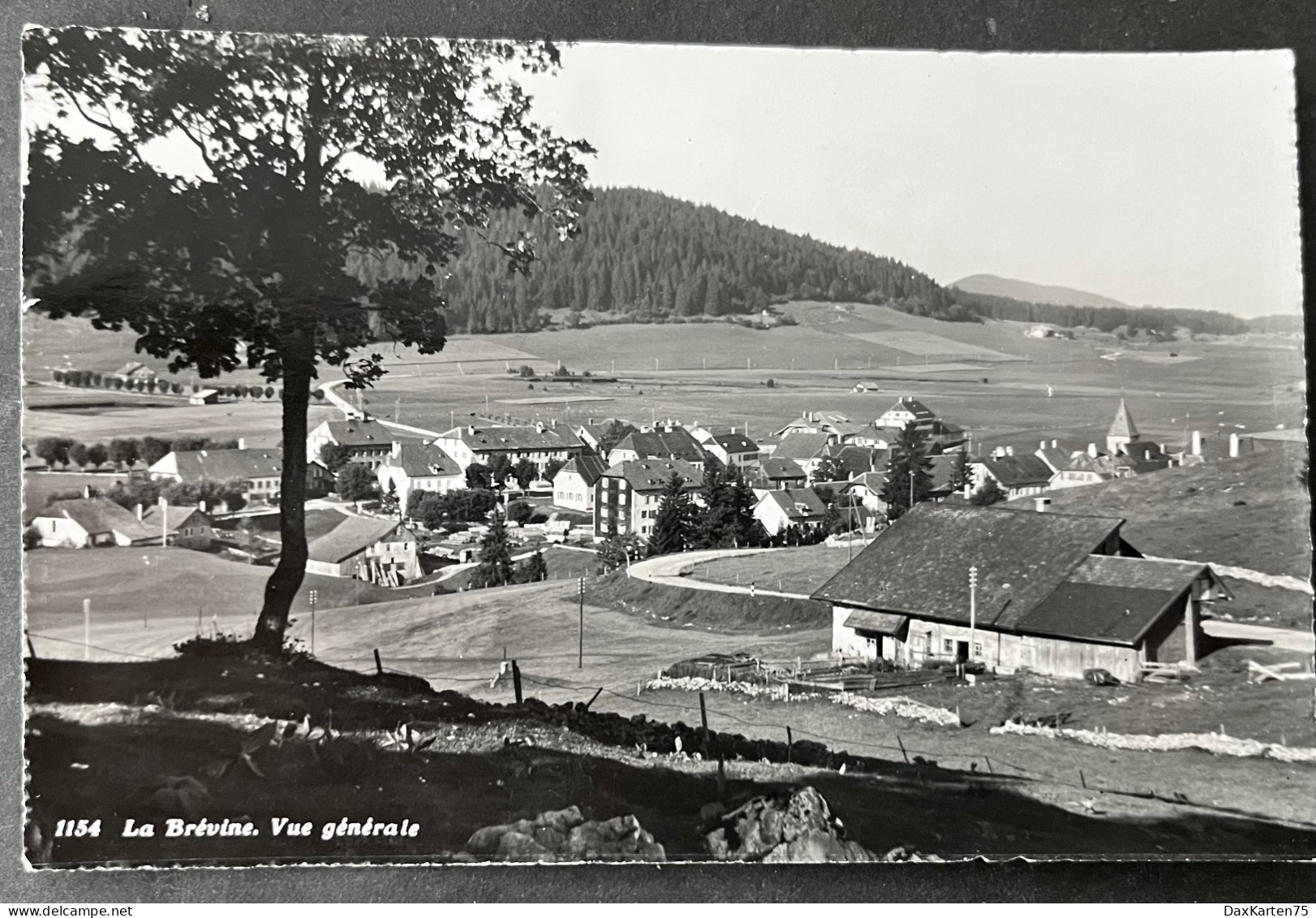 La Brévine. Vue Générale - La Brévine