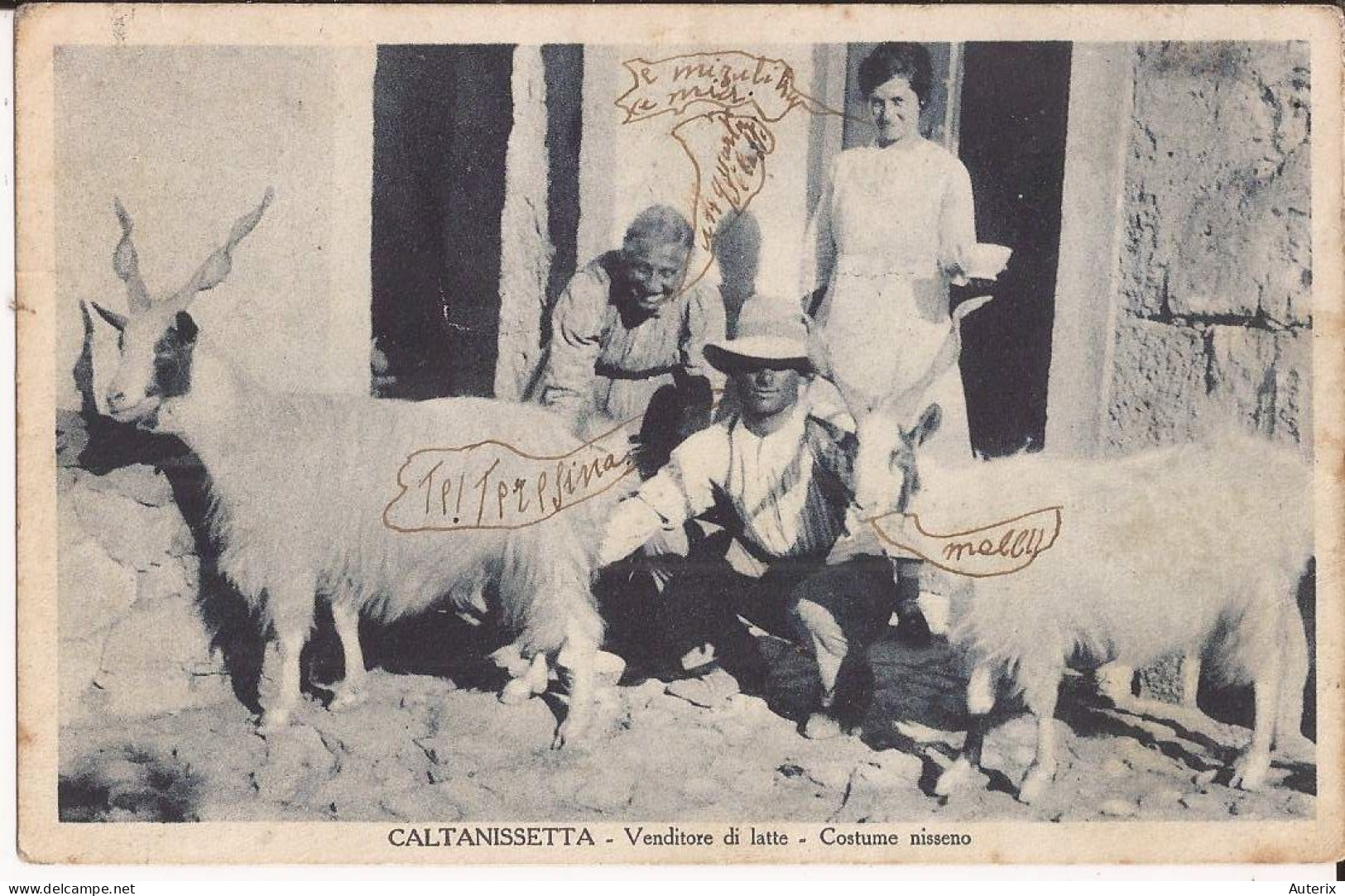 Italie - Caltanissetta - Venditore Di Latte - Costume Nisseno Capre Goat - Caltanissetta