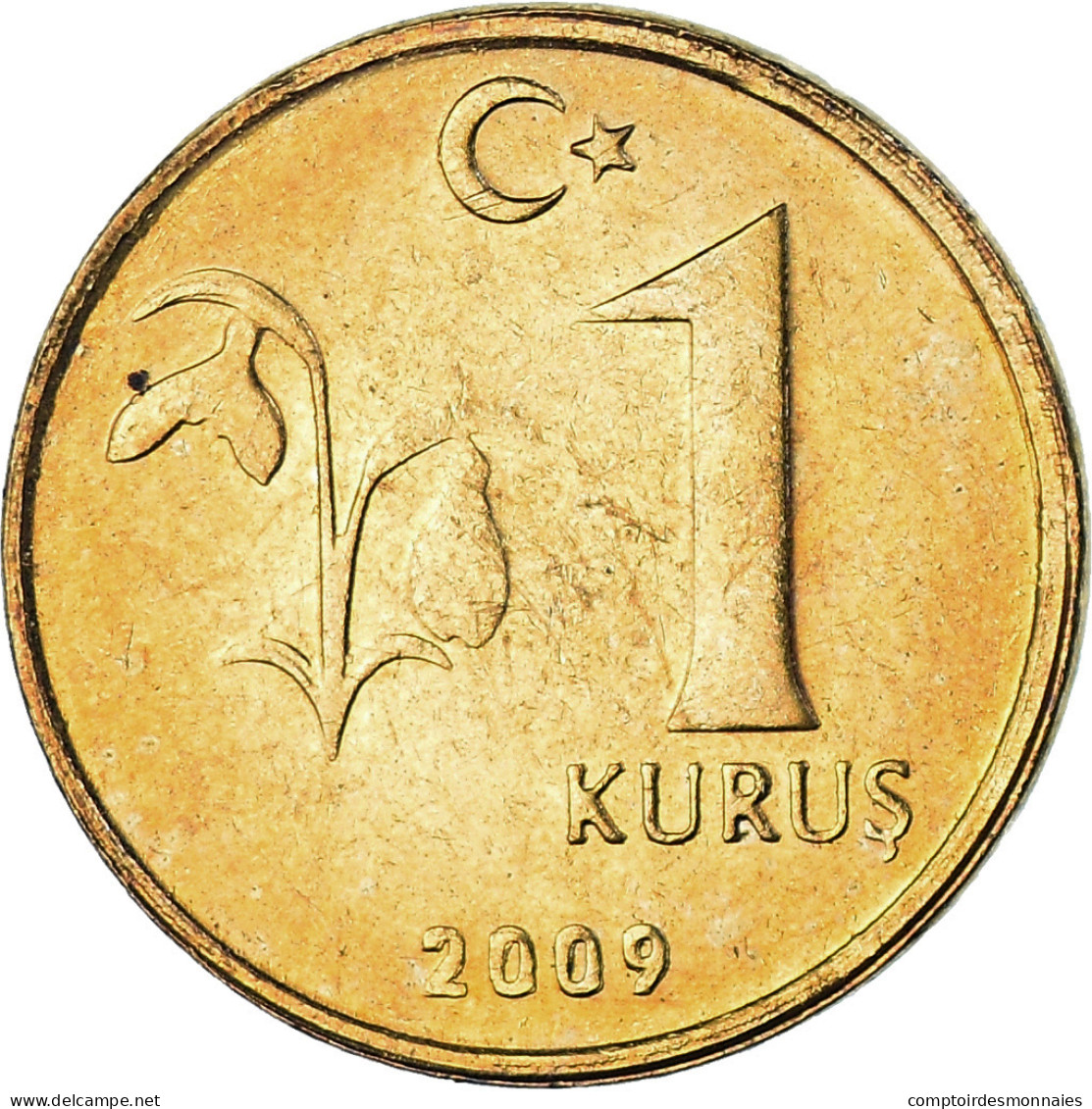 Monnaie, Turquie, Kurus, 2009, SUP, Copper-Nickel Plated Steel, KM:1239 - Turquie