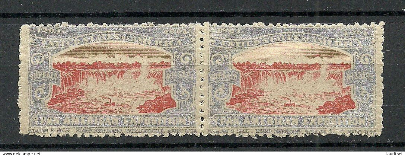 USA 1901 Pan American Exposition 1901 Buffalo & Niagara Advertising Poster Stamp Reklamemarke As Pair MNH - Ongebruikt