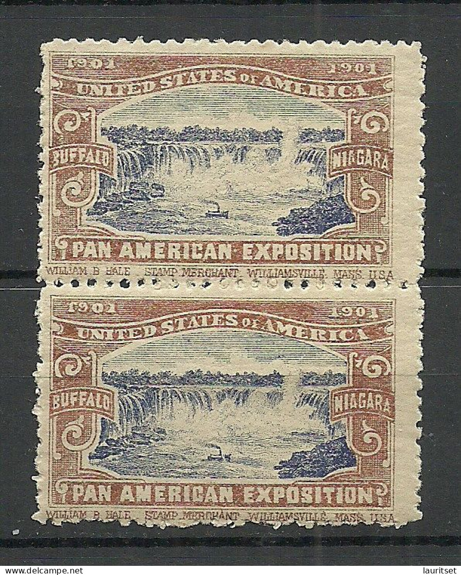 USA 1901 Pan American Exposition 1901 Buffalo & Niagara Advertising Poster Stamp Reklamemarke As Pair MNH - Unused Stamps