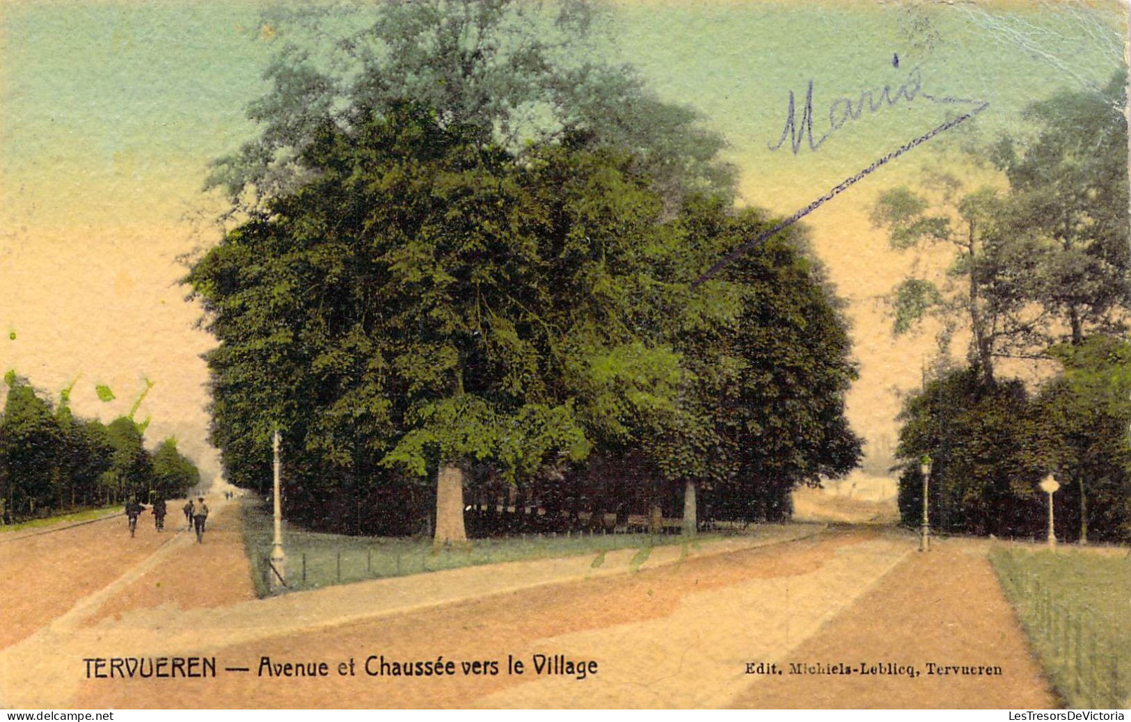 BELGIQUE - TERVUEREN - Avenue Et Chaussée Vers Le Village - Carte Postale Ancienne - Tervuren