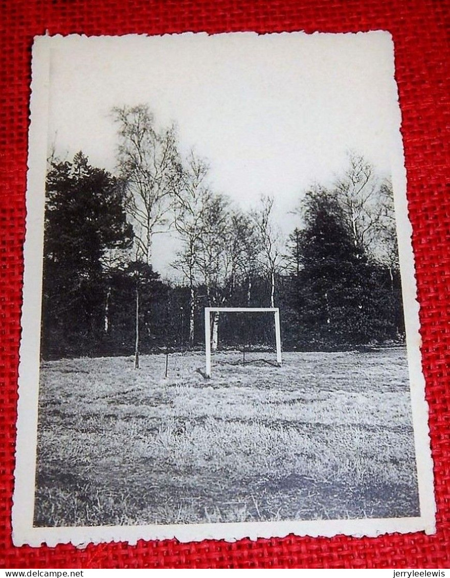 SCHOTEN  -  Sint Stanislashof -  Jeugdverbroedering : Vacantieoorden - Foot-Ball - Schoten