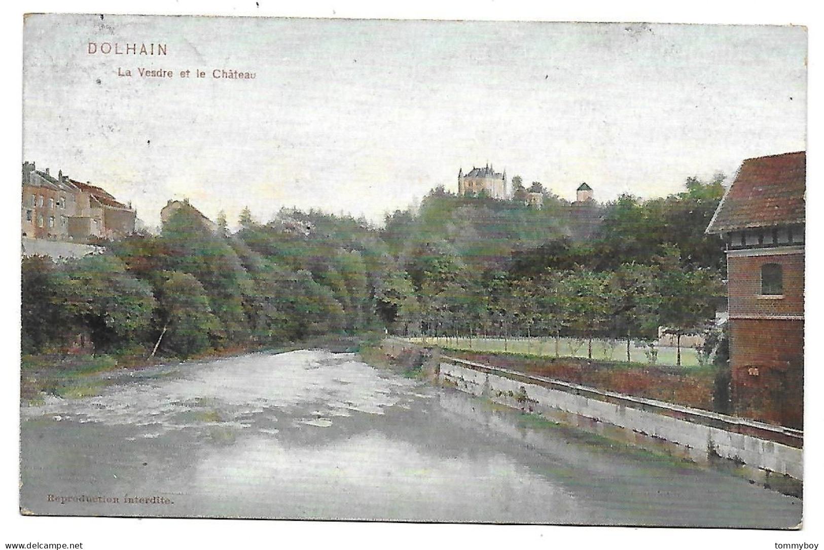 CPA Dolhain, Le Vesdre Et Le Château - Limbourg