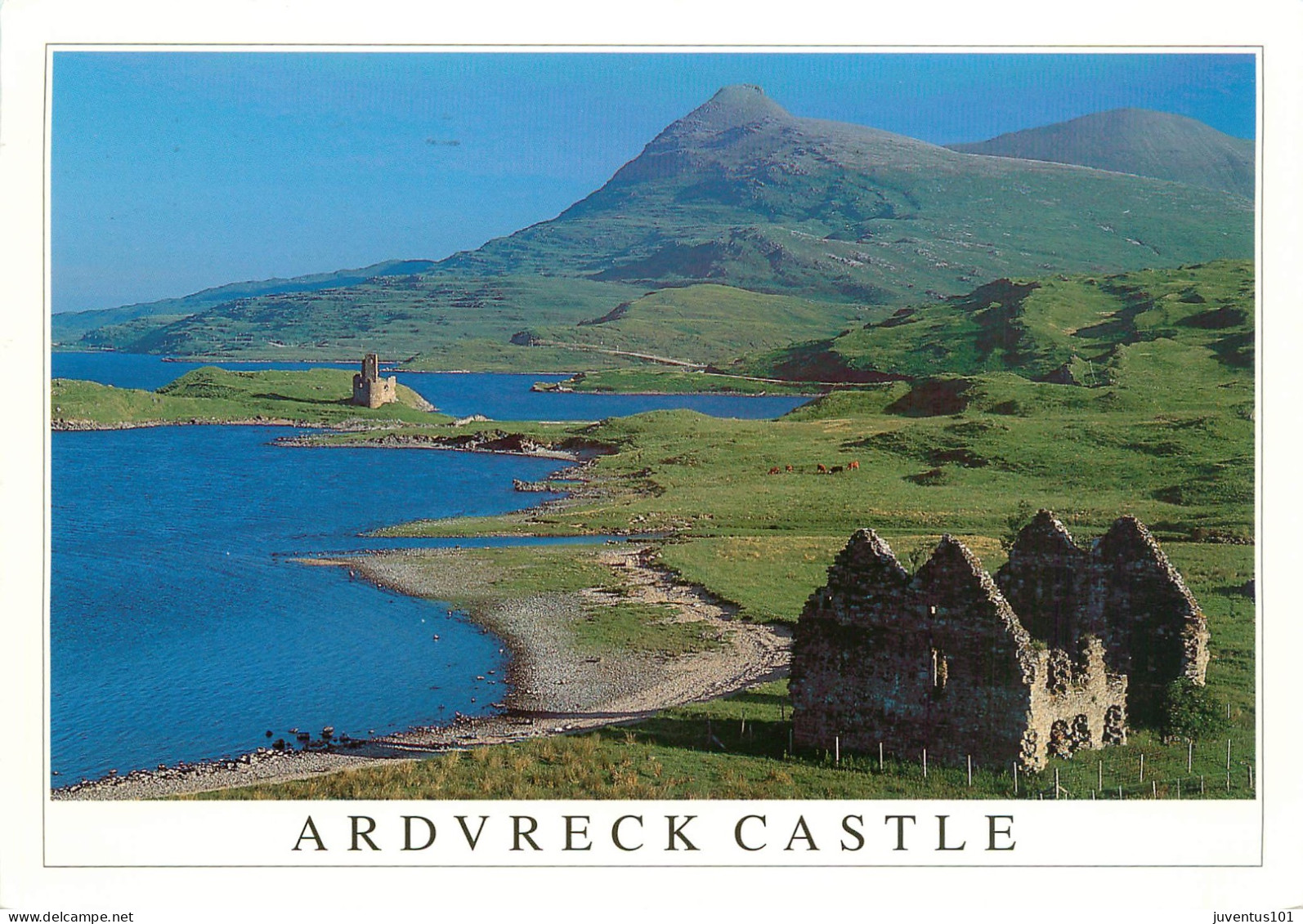 CPSM Ardvreck Castle-Timbre-Carte Format Spéciale    L2340 - Sutherland