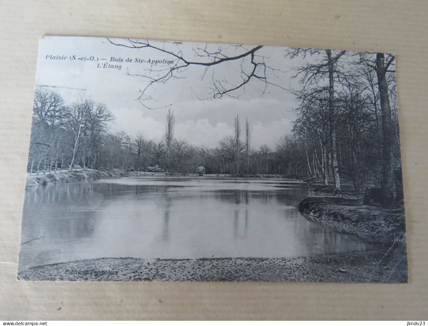 PLAISIR, YVELINES, BOIS DE SAINTE APPOLINE, L'ETANG, CPA - Plaisir