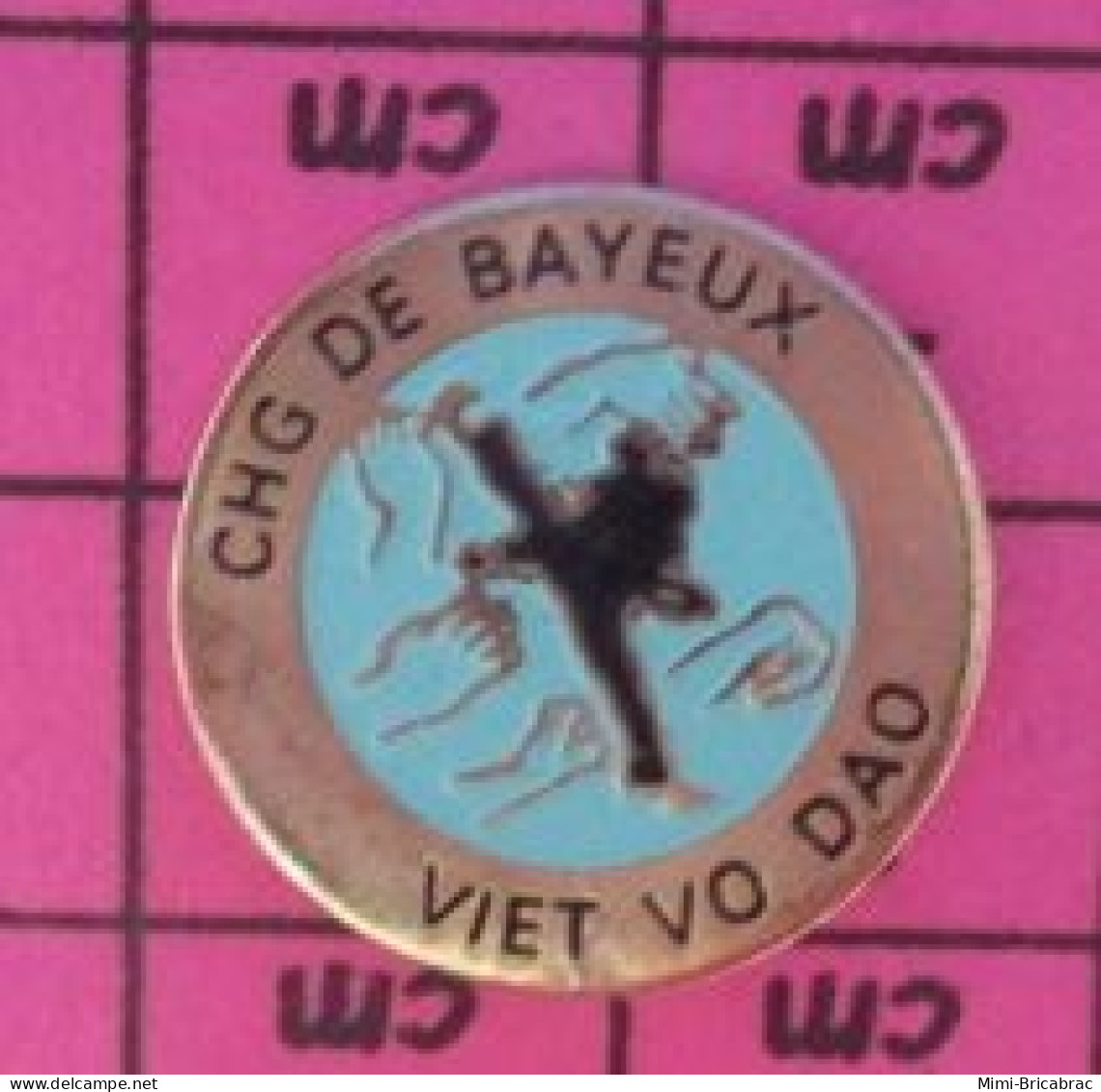 313d Pin's Pins / Beau Et Rare / SPORTS / JUDO KARATE VIET VO DAO CHG DE BAYEUX - Judo