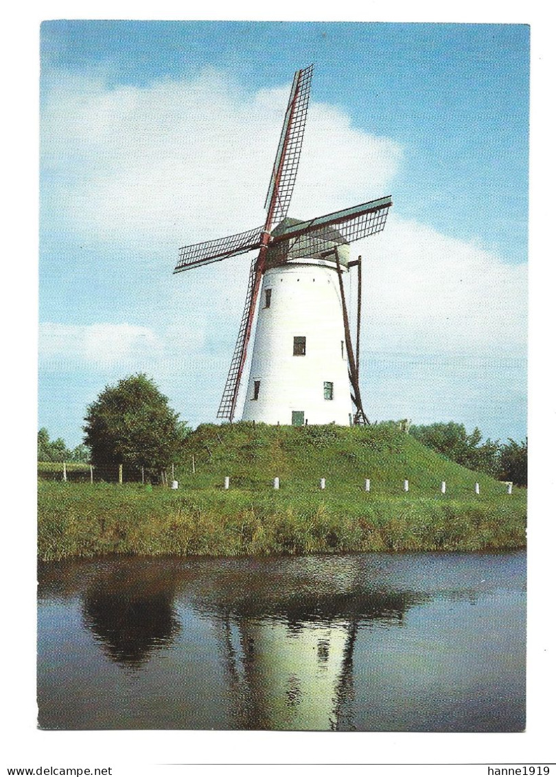 Damme Windmolen Mill Moulin Photo Carte Foto Prentkaart Htje - Damme