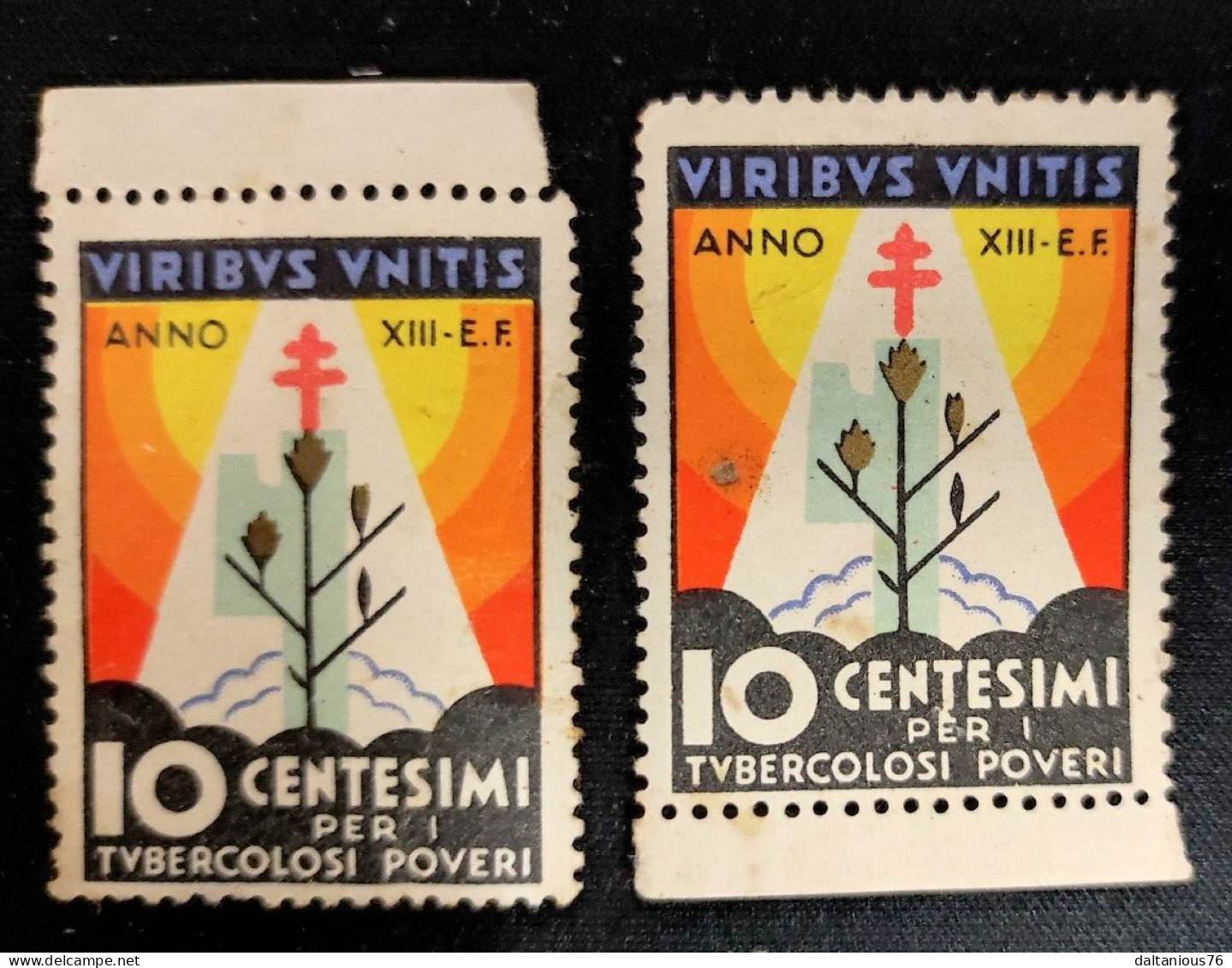 Francobolli 10 Centesimi Tubercolosi Fascio Fascismo - Timbres Pour Envel. Publicitaires (BLP)