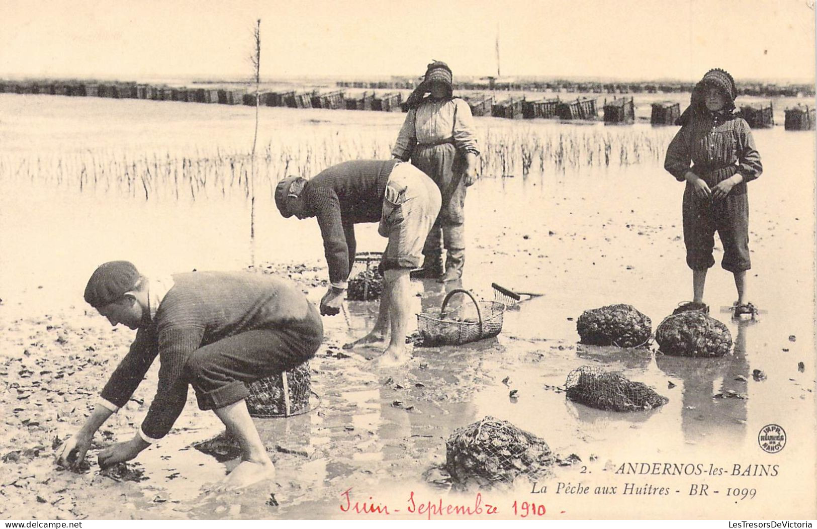 FRANCE - 33 - ANDERNOS LES BAINS - La Pêche Aux Huitres - BR - Juin Septembre 1910 - Carte Postale Ancienne - Andernos-les-Bains