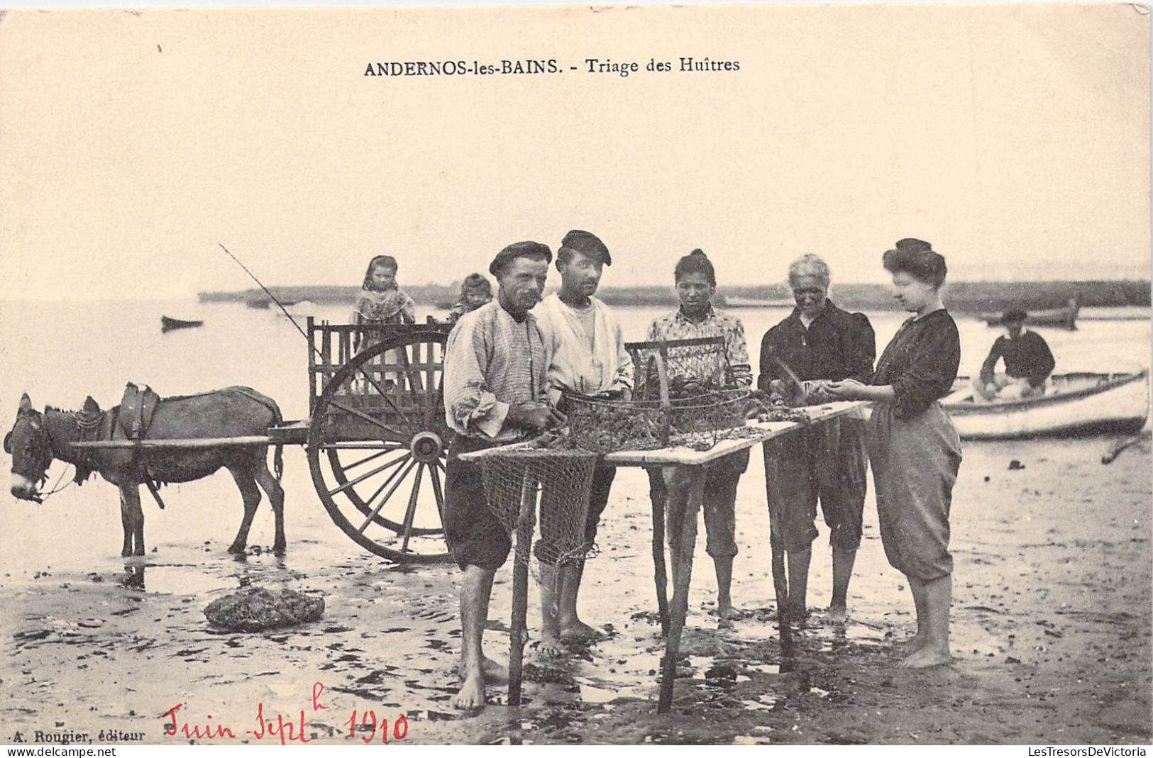 FRANCE - 33 - ANDERNOS LES BAINS - Triage Des Huitres - Edit A Rougier - Juin Septembre 1910 - Carte Postale Ancienne - Andernos-les-Bains