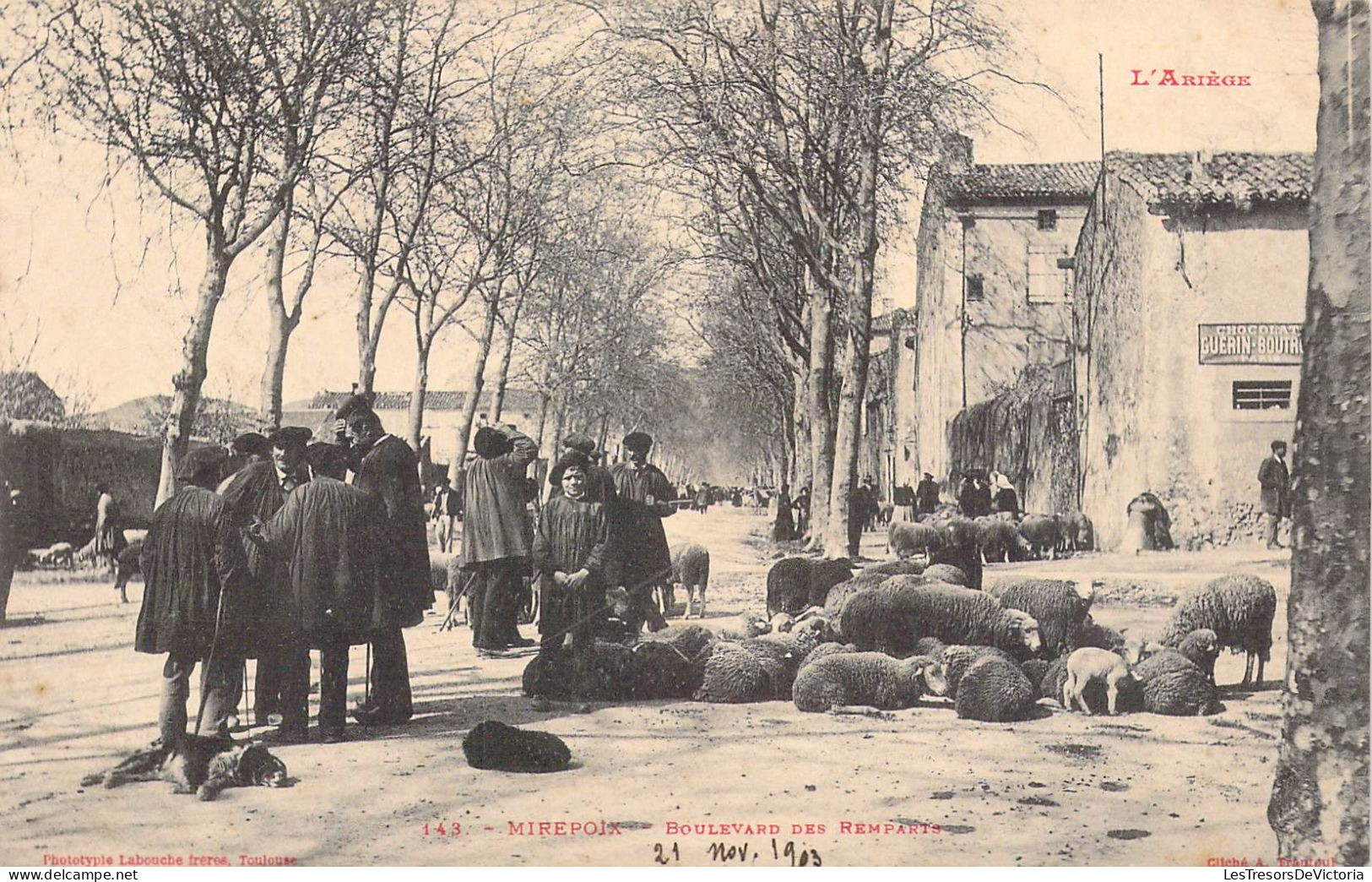 FRANCE - 09 - MIREPOIX - Boulevard Des Remparts - 21 Nov 1903 - Carte Postale Ancienne - Mirepoix