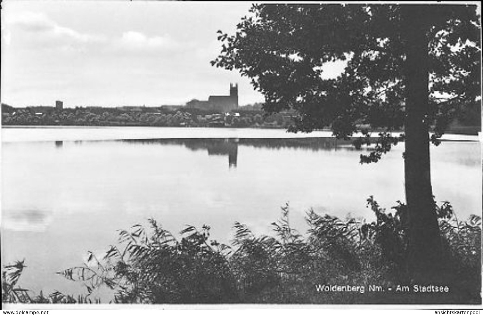 9 Negative Woldenberg Neumark, Straße, Kirche, Ruine - Neumark