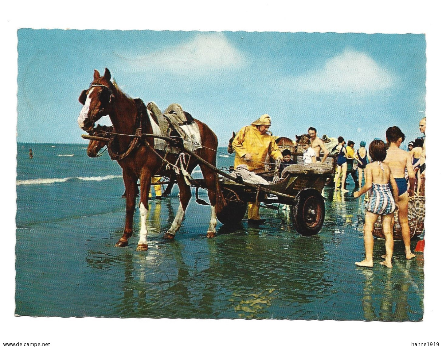 Oostduinkerke Paard Pferd Horse Cheval Garnaalvisser Foto Prentkaart Stempel R.T.T. Kinderlaan Oostduinkerke Htje - Oostduinkerke