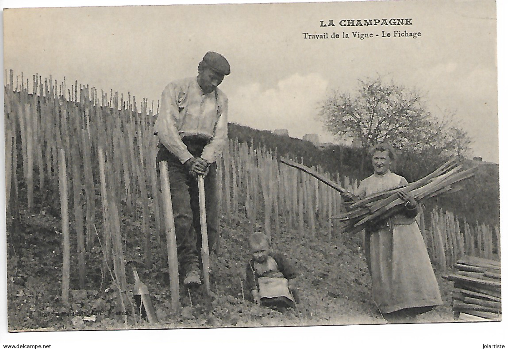 CHAMPAGNE  CPA  TRAVAIL DE LA VIGNE  LE FICHAGE Non Ecrite  N0155 - Champagne-Ardenne