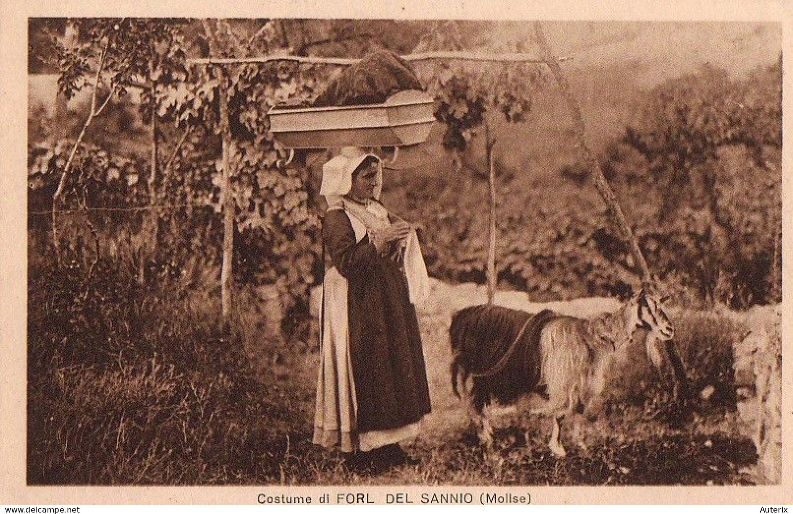 Italie - Costume Di Forl Del Sannio (Molise) Capre Goat - Otros & Sin Clasificación