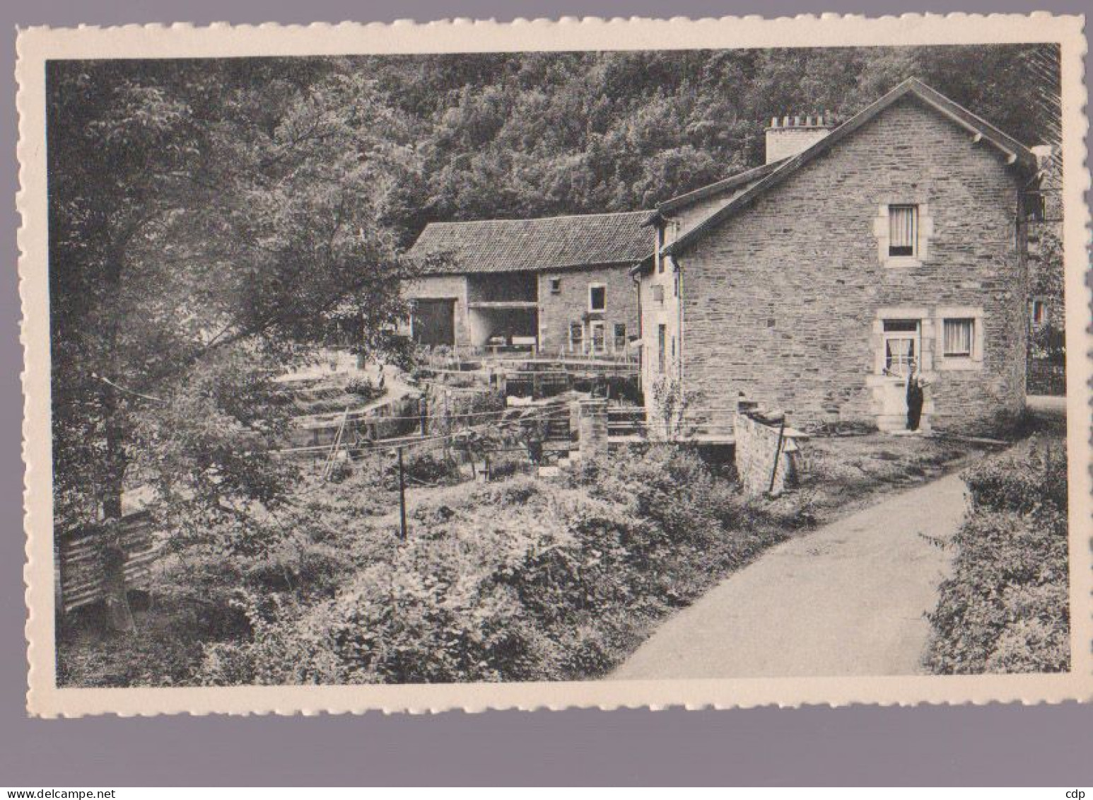 Cpsm  Comblain-au-pont    Moulin - Comblain-au-Pont