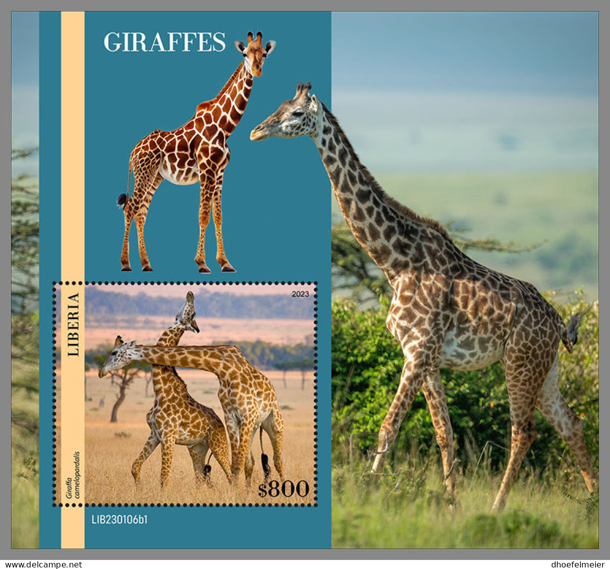 LIBERIA 2023 MNH Giraffes Giraffen Girafes S/S I - OFFICIAL ISSUE - DHQ2333 - Giraffen