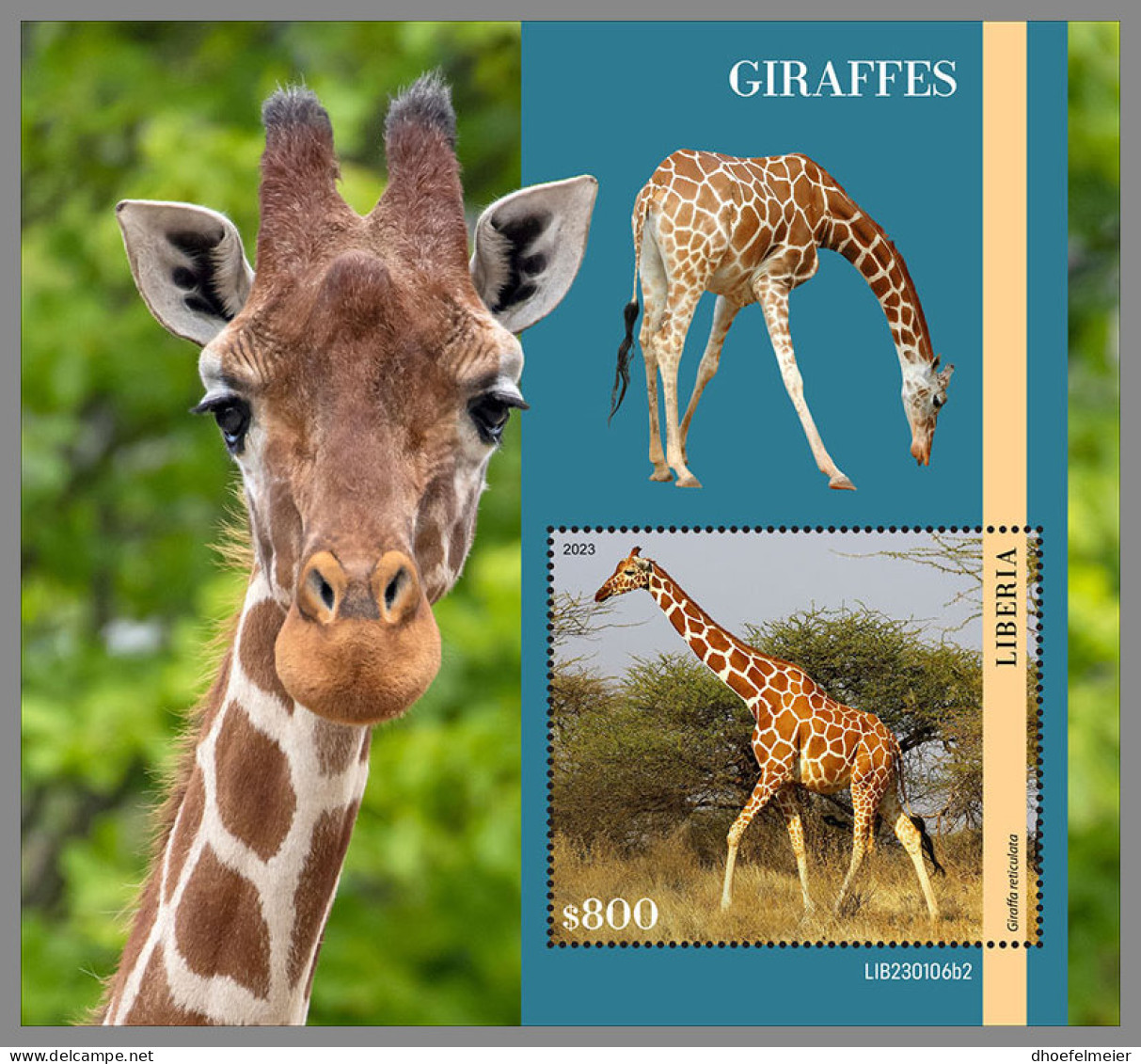 LIBERIA 2023 MNH Giraffes Giraffen Girafes S/S II - OFFICIAL ISSUE - DHQ2333 - Giraffen