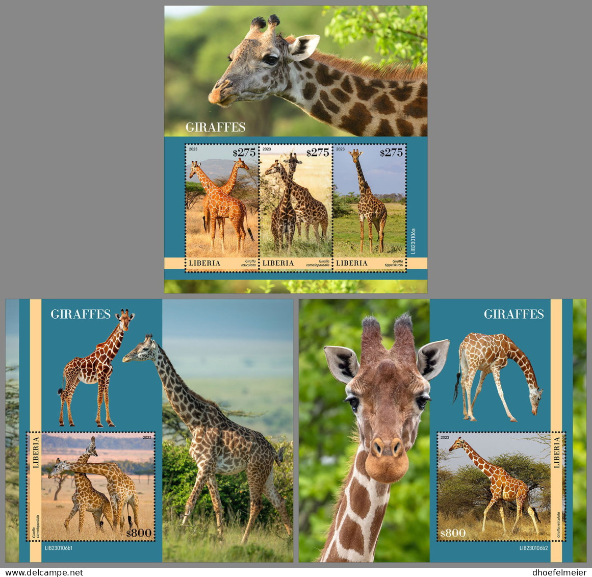 LIBERIA 2023 MNH Giraffes Giraffen Girafes M/S+2S/S - OFFICIAL ISSUE - DHQ2333 - Giraffes