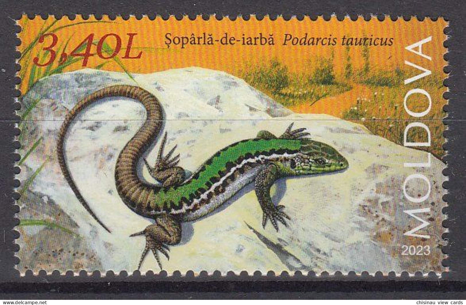 MOLDOVA 2023 Faune.Red Book Of Republic Of Moldova. Reptiles And Batrachians.Brotacel.Lizard.1 St MNH - Serpents