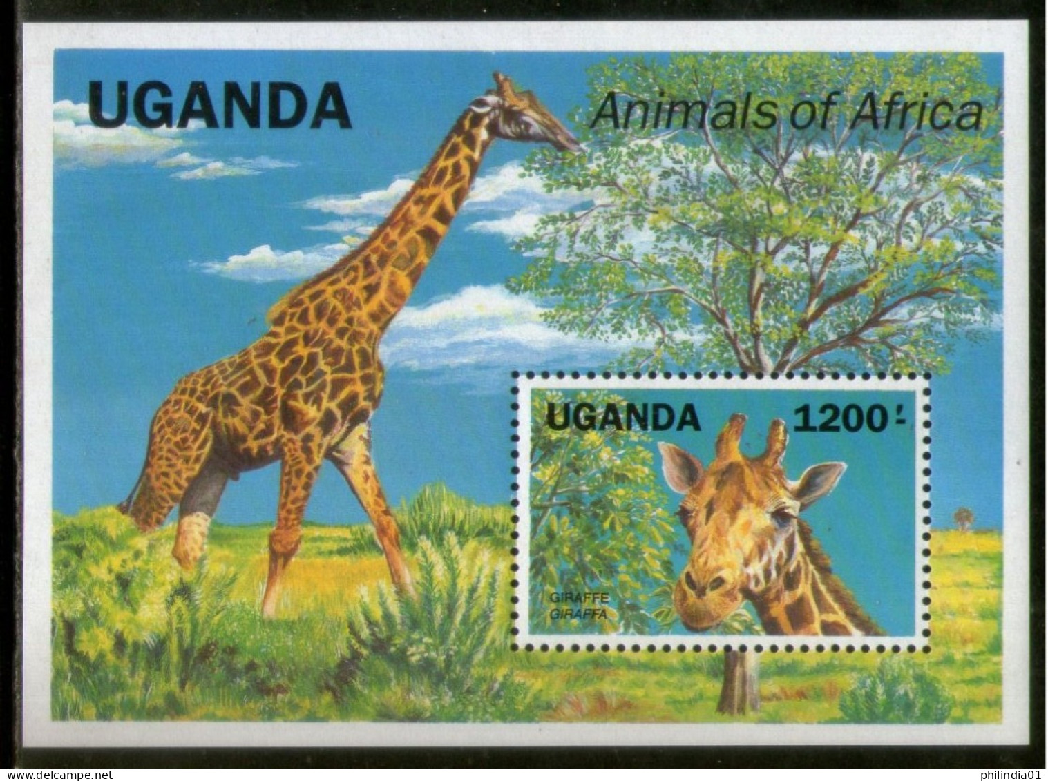 Uganda 1991 Giraffe Wildlife Animal Sc 952 M/s MNH # 12615 - Girafes