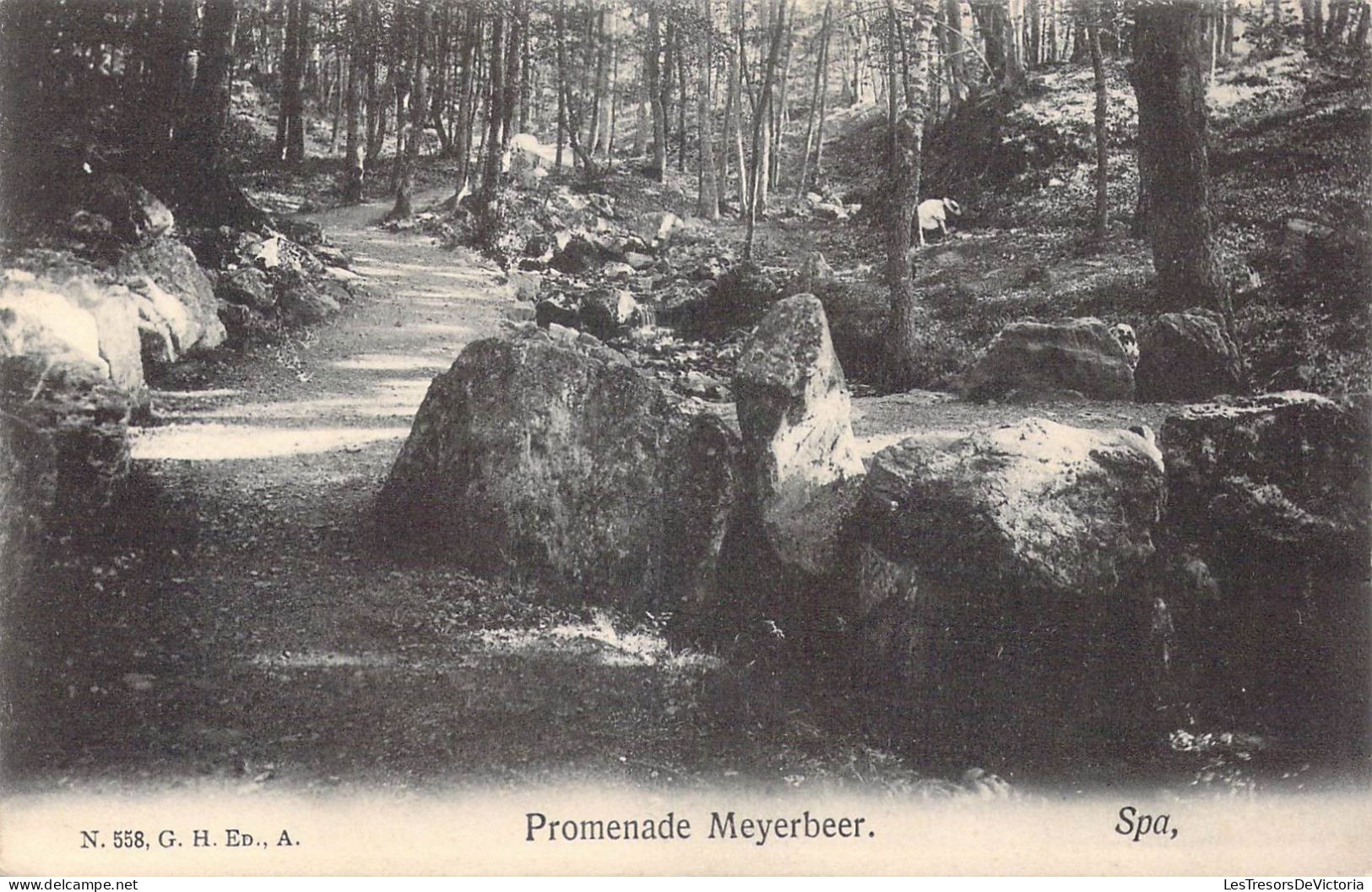 BELGIQUE - Spa - Promenade Meyerbeer - Carte Postale Ancienne - Spa