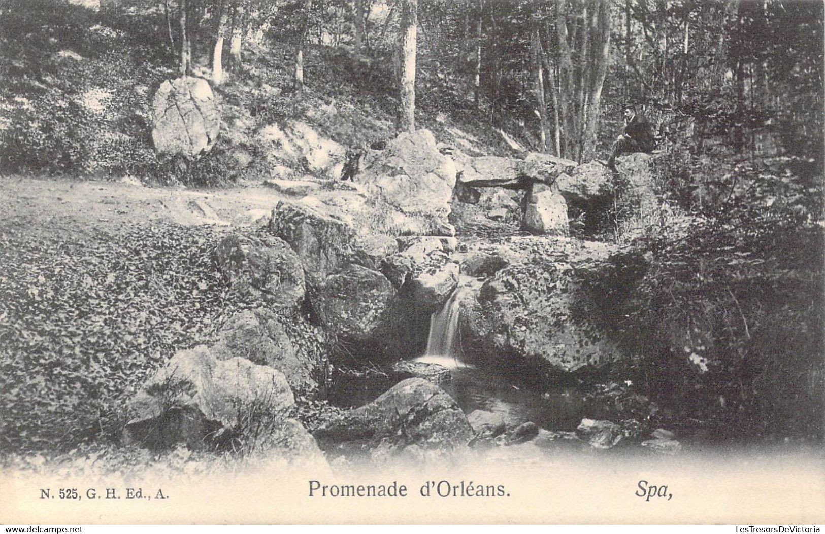 BELGIQUE - Spa - Promenade D'Orléans - Carte Postale Ancienne - Spa