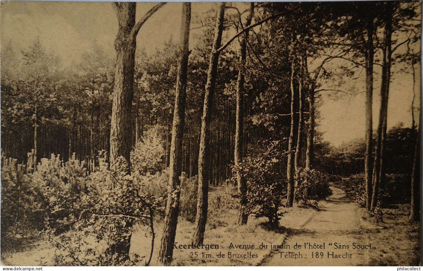 Keerbergen // Avenue Du Jardin De L' Hotel Sans Souci 1937 - Keerbergen