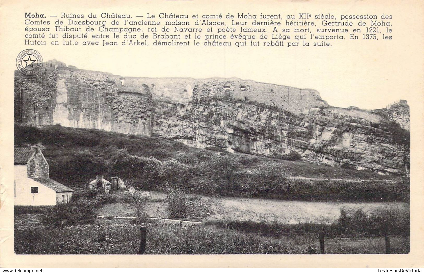 BELGIQUE - Moha - Ruines Du Château - Carte Postale Ancienne - Hoei