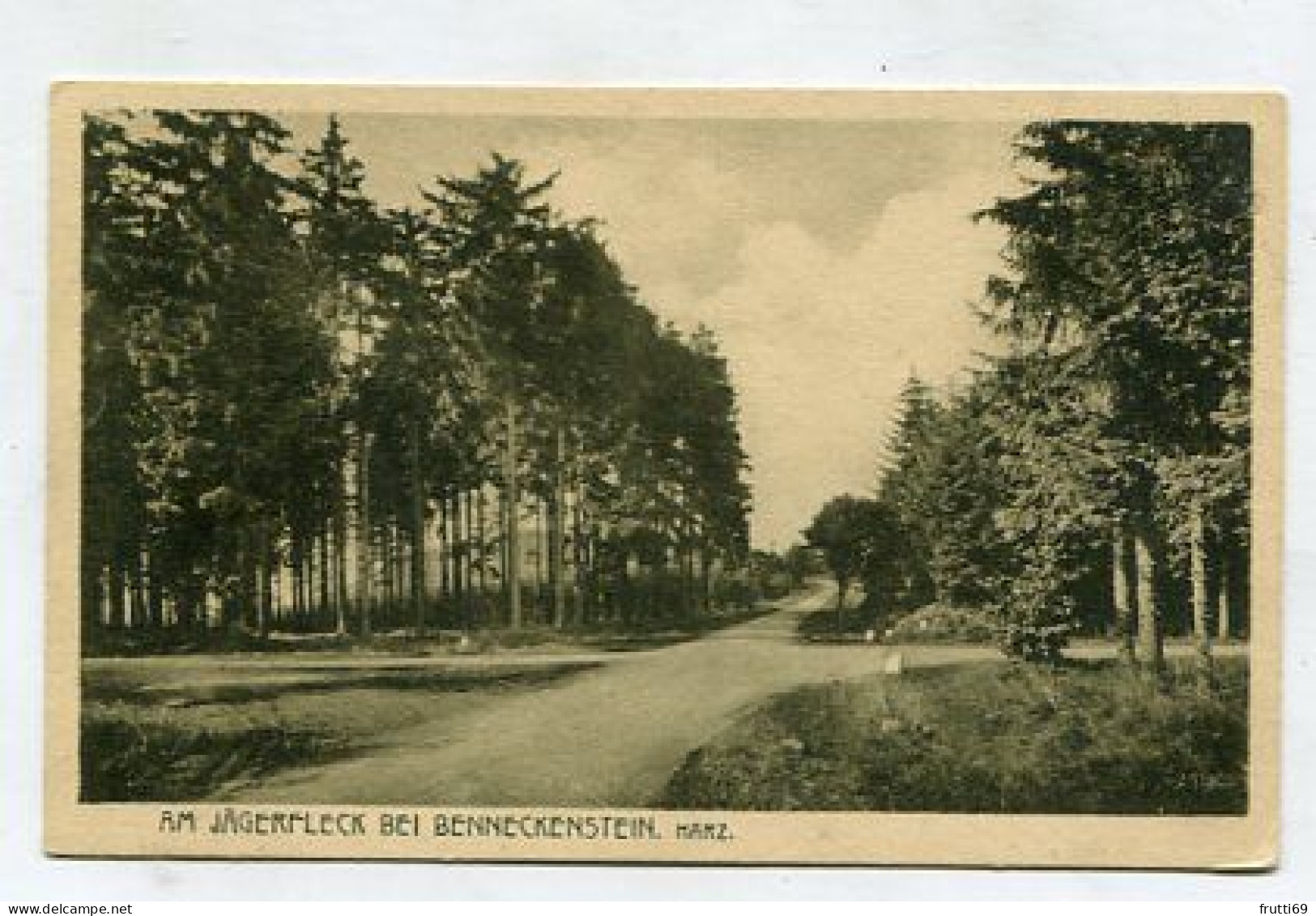 AK 154316 GERMANY - Am Jägerfleck Bei Benneckenstein / Harz - Unterharz