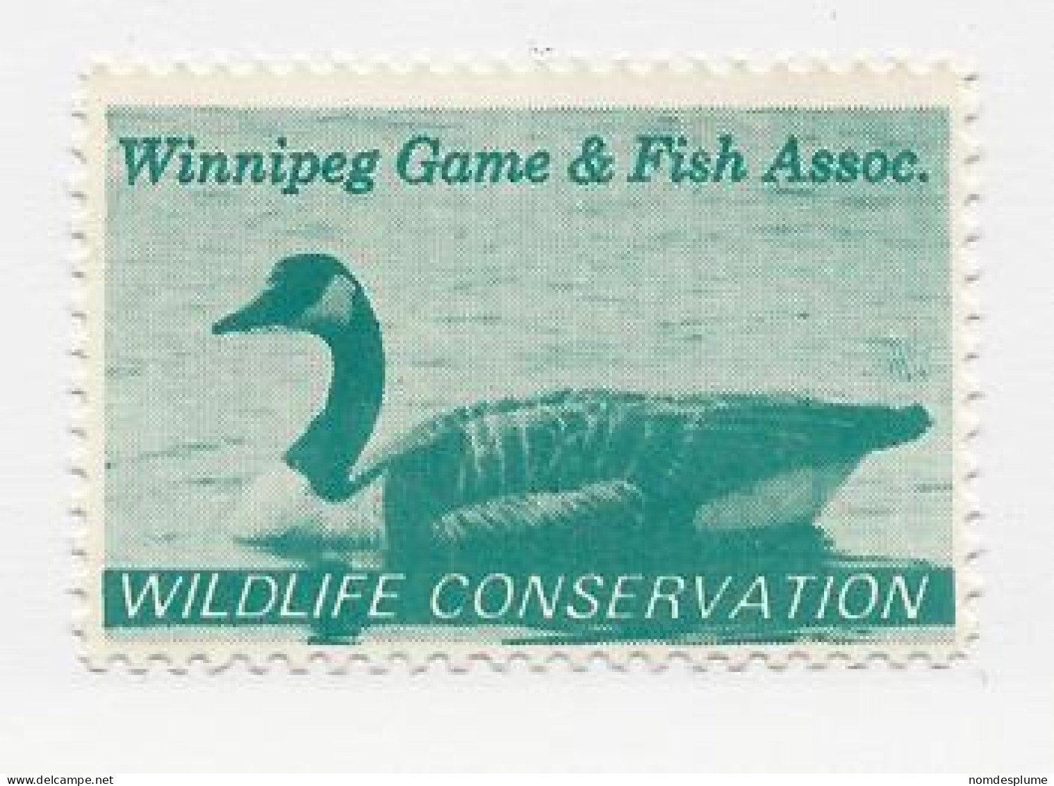 23444) Canada Winnipeg Manitoba Duck Bird - Viñetas Locales Y Privadas