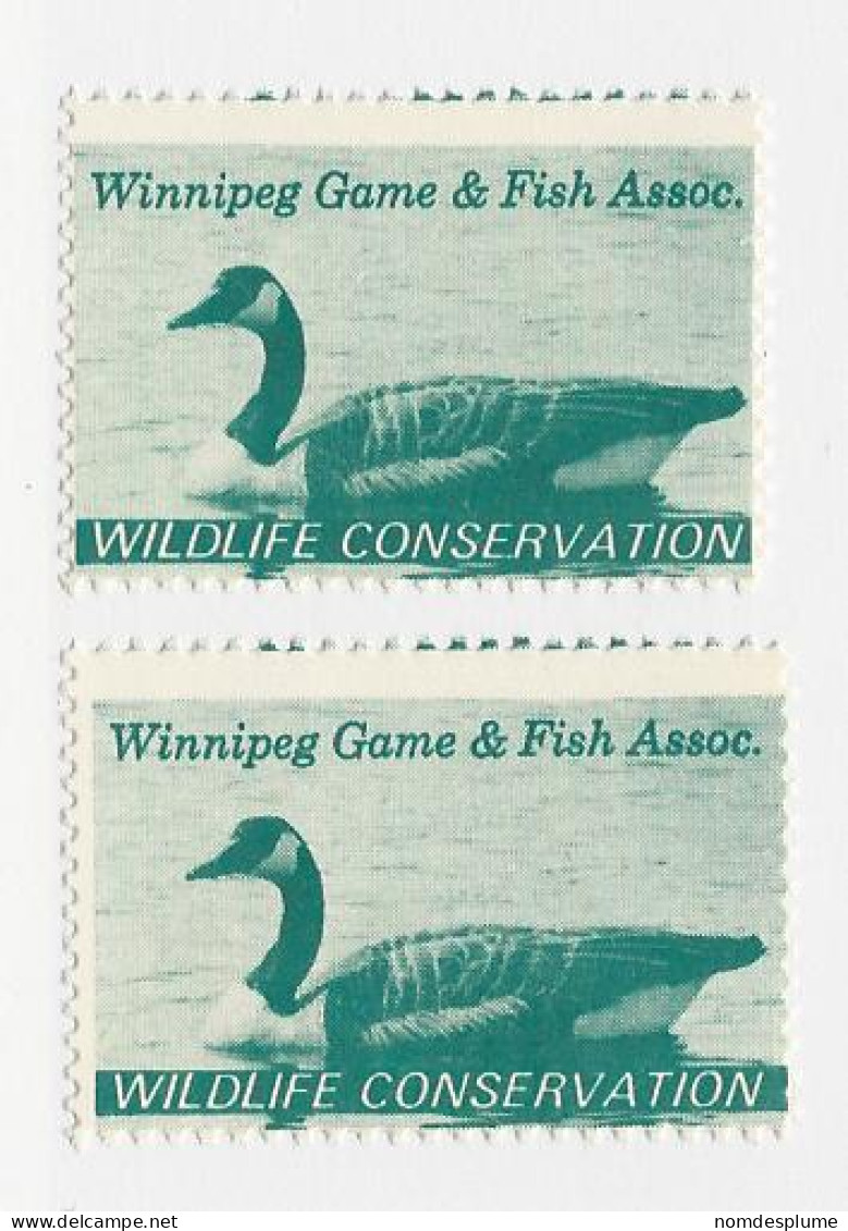 23445) Canada Winnipeg Manitoba Duck Bird - Viñetas Locales Y Privadas