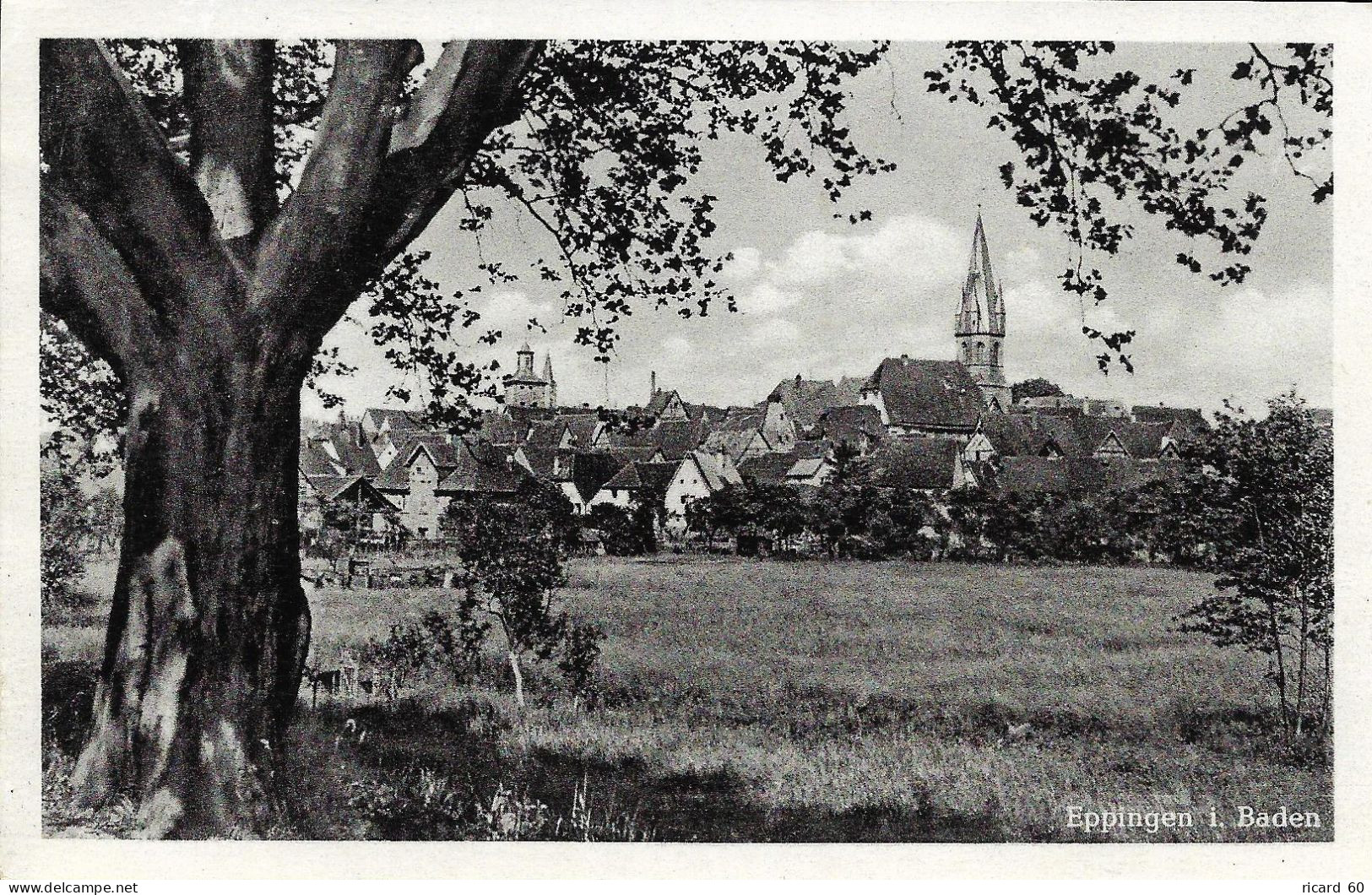 Cpa Eppingen, Vue Générale - Eppingen