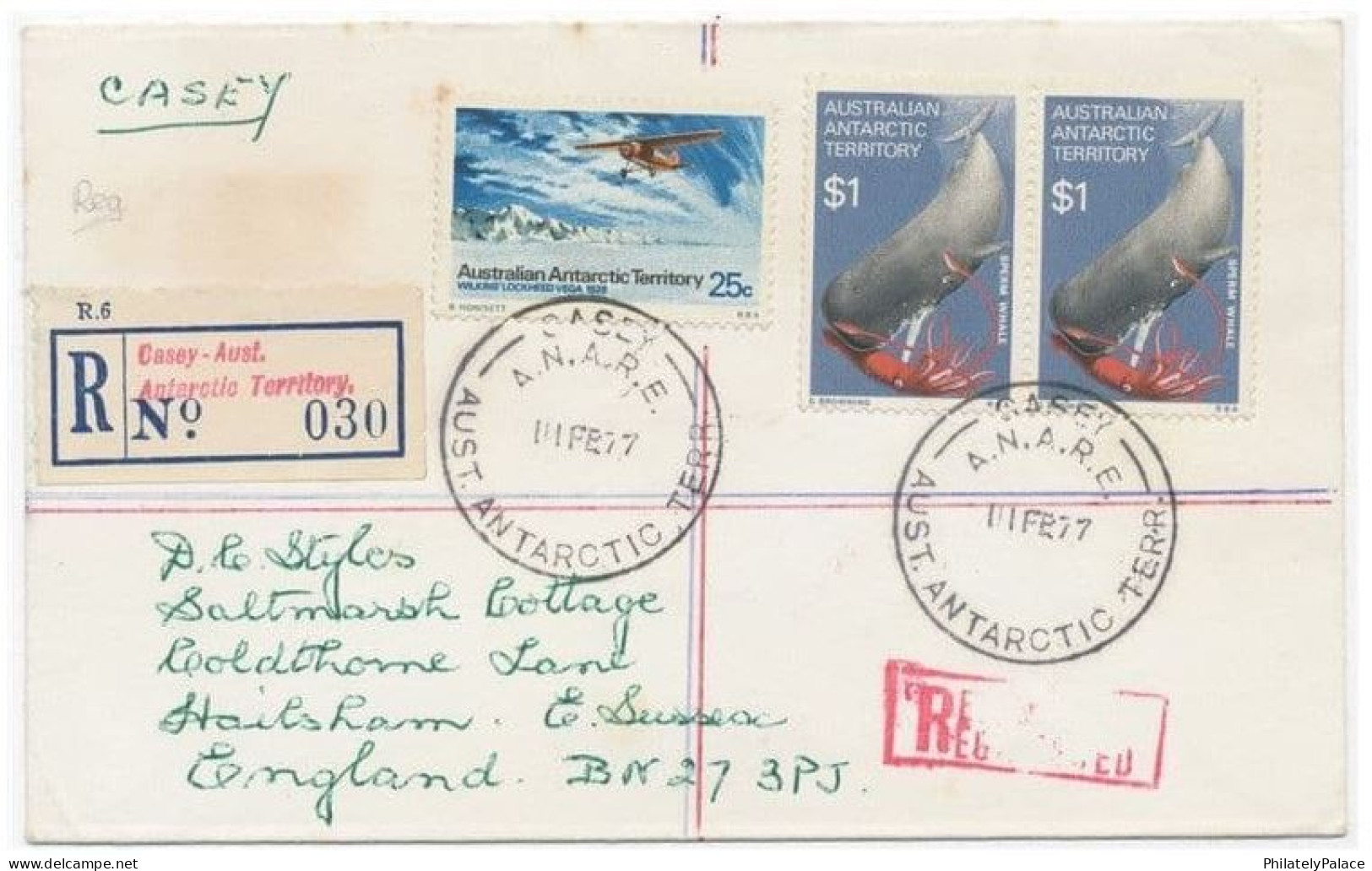 Australian Antartic Territory Base AAT 1977 ,Whale,Squid, Plane, Casey. Registration Label (**) Antarctica, Antarctic - Covers & Documents