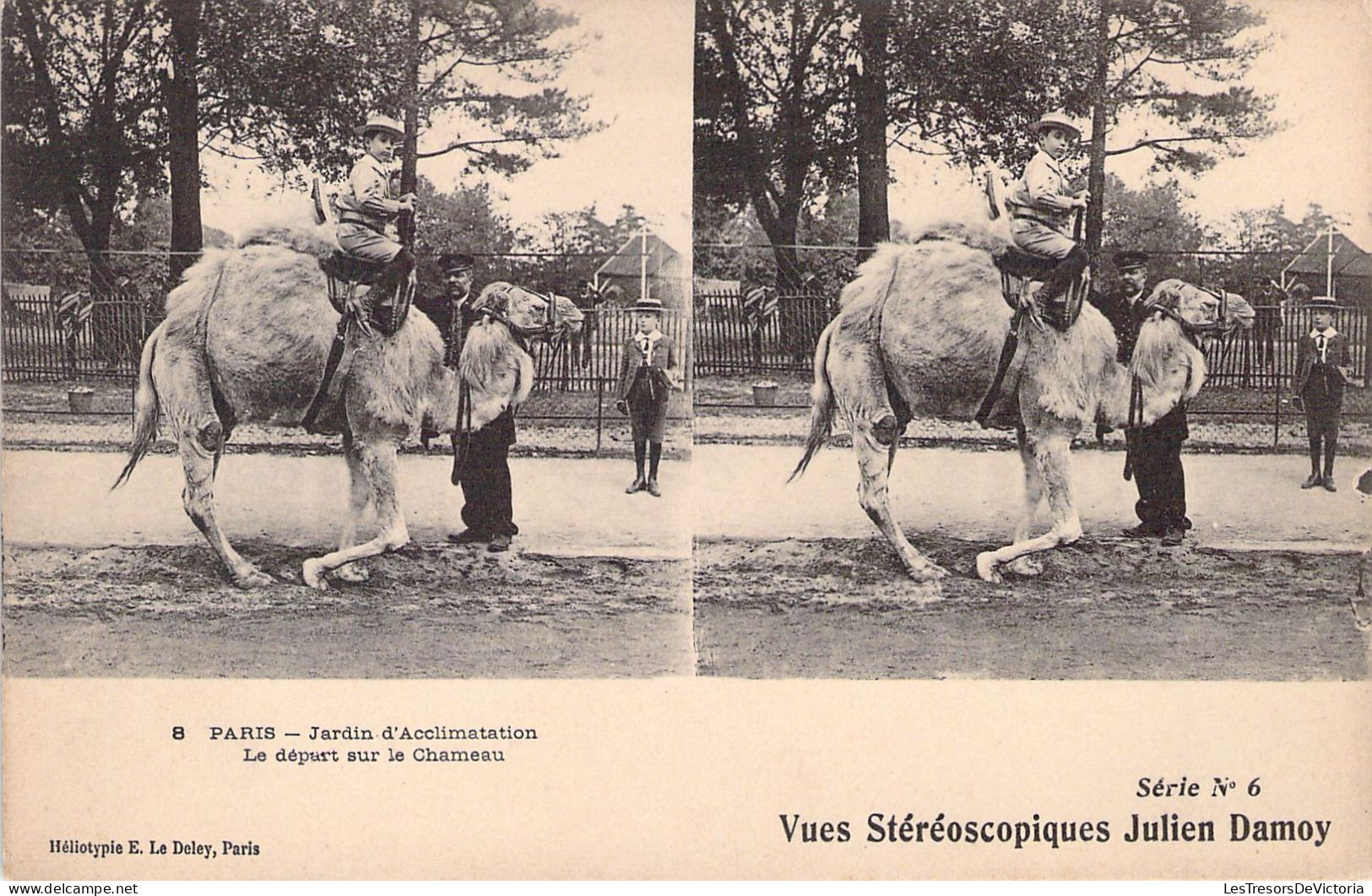 CPA - Vue Stéréoscopique - PARIS - Jardin D'Acclimatation - Le Départ Sur Le Chameau - Autres Monuments, édifices