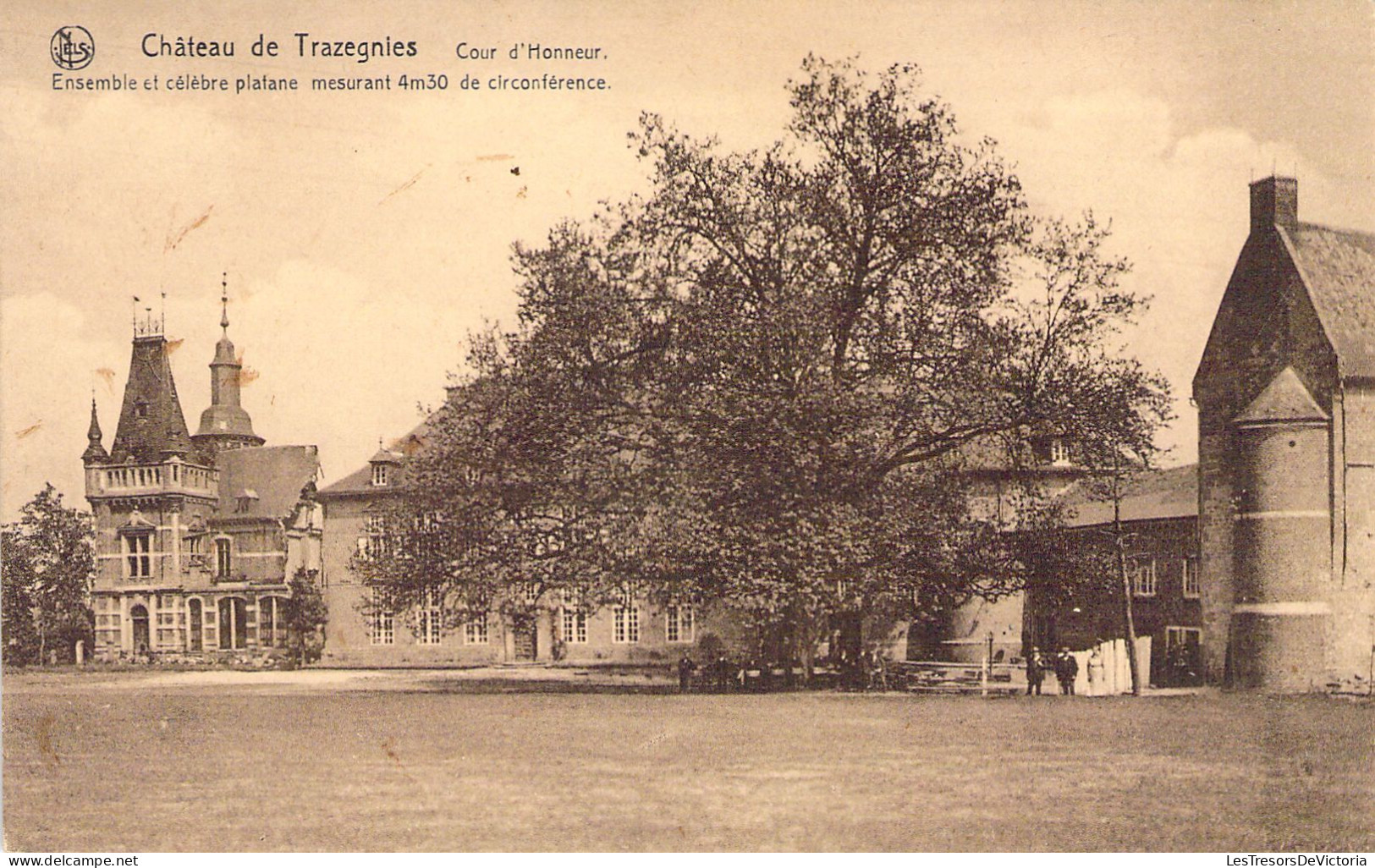 CPA - BELGIQUE - Château De TRAZEGNIES - Cour D'Honneur - Ensemble Et Célèbre Platane - Sonstige & Ohne Zuordnung