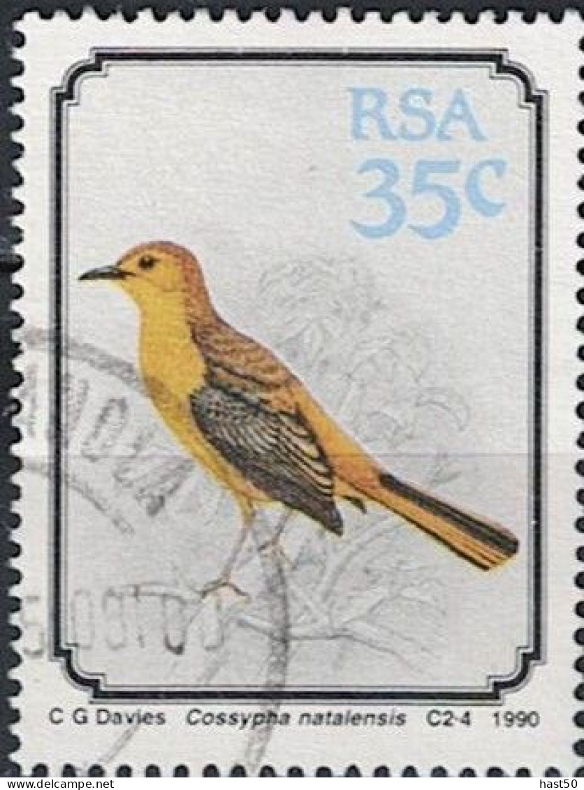 Südafrika - Rotkappenrötel (Cossypha Natalensis) (MiNr: 801) 1990 - Gest Used Obl - Usados