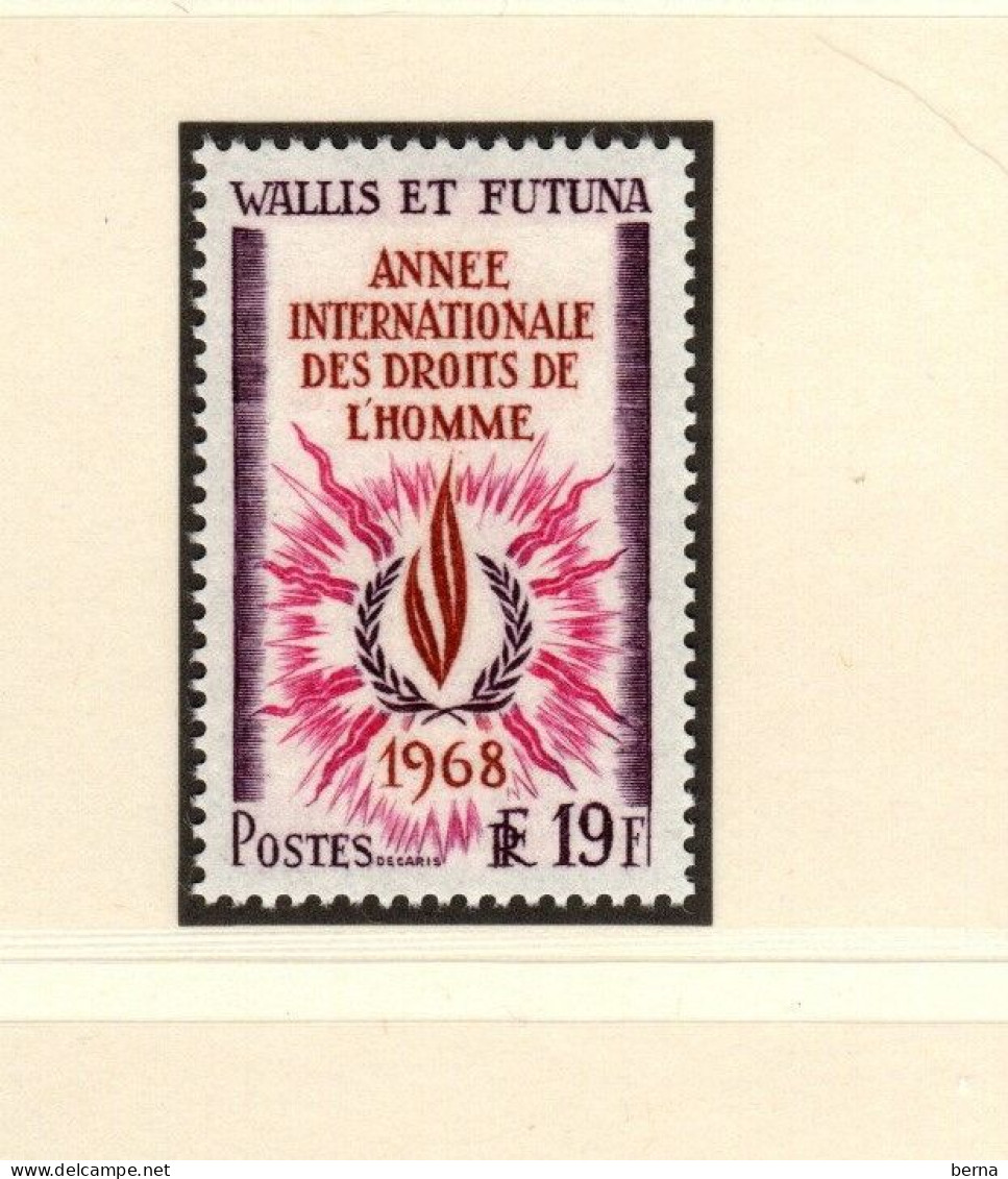 WALLIS   LUXE NEUF SANS CHARNIERE 173 DROIT DE L'HOMME - Unused Stamps