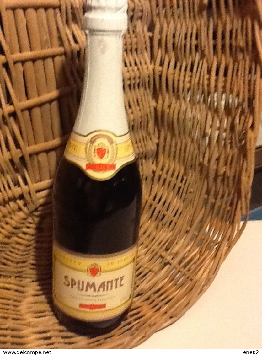 Spumanti ( N.5 Bottiglie ) Cantine Italiane Varie - Champagner & Sekt