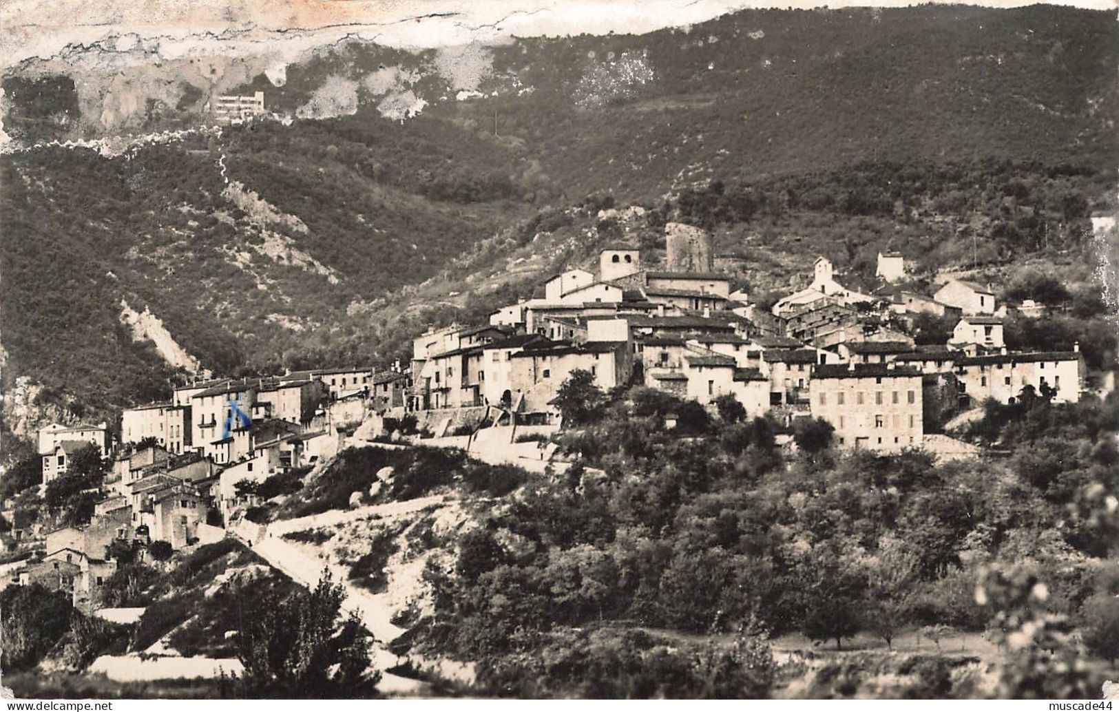 AMELIE LES BAINS - VUE GENERALE DE PALALDA - Amélie-les-Bains-Palalda