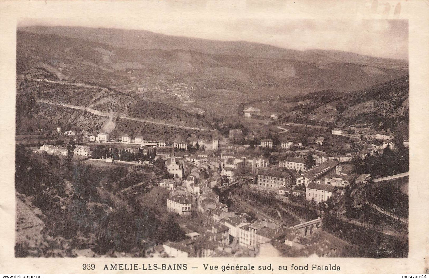 AMELIE LES BAINS - VUE GENERALE SUD AU FOND PALALDA - Amélie-les-Bains-Palalda