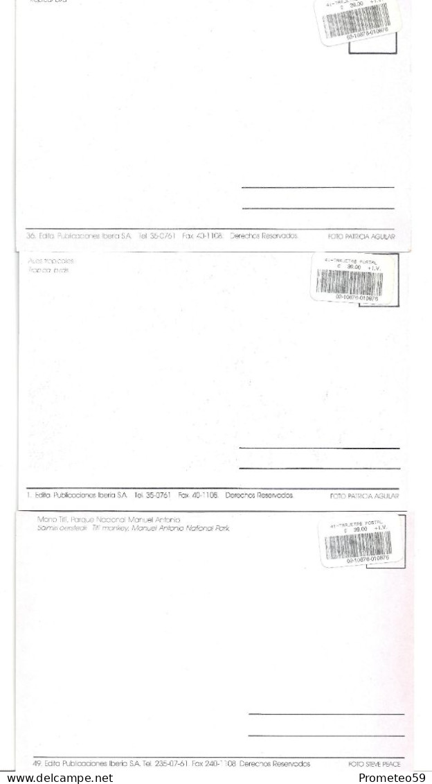 Lote 3 Postales Postcards  - Mono Titi Y Aves Tropicales – Tema: Fauna – Costa Rica – Sin Uso - Sammlungen & Sammellose